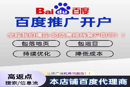 行业领先企业的SEM服务托管策略案例
